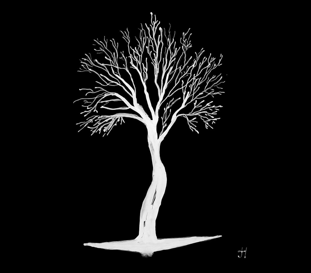 Where the Roots Began