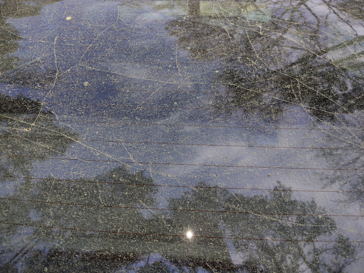 A Blizzard of Pollen